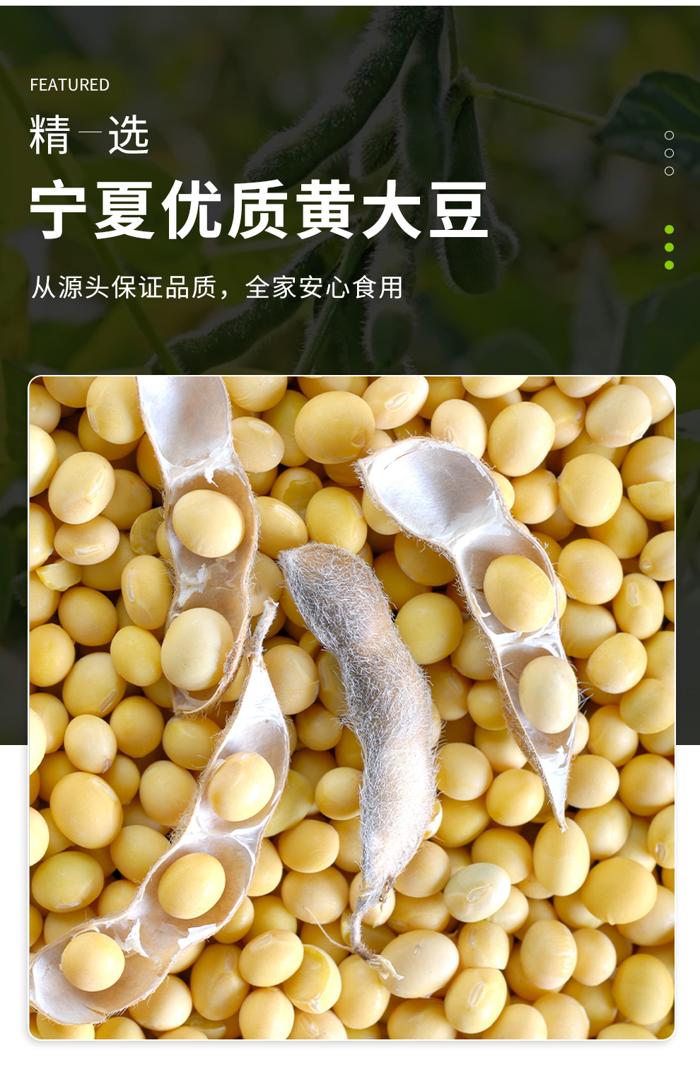 金条豆腐_04.jpg