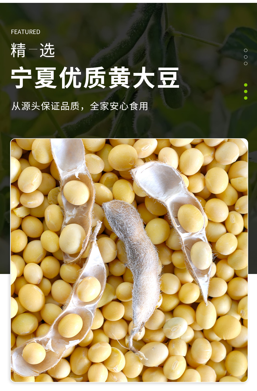 软心豆腐_04.jpg